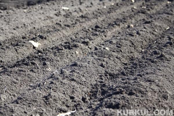 Землі резерву та запасу