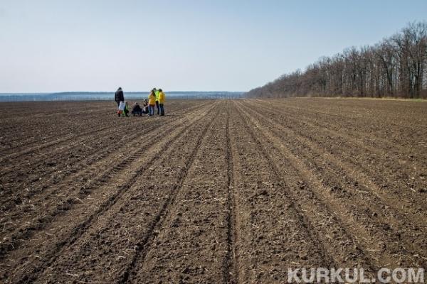 Екватор польових інспекцій агроекспедитори провели на Вінниччині
