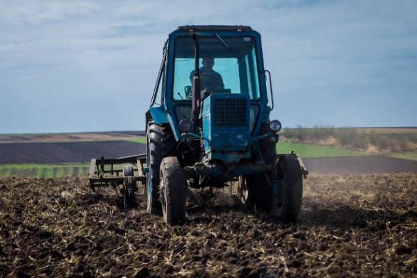 Тенденції цьогорічної посівної кампанії, що ми помітили під час АгроЕкспедиції