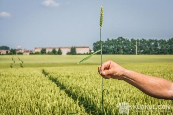 АгроЕкспедиція «Пшениця 2016» заїхала в Черкаську область
