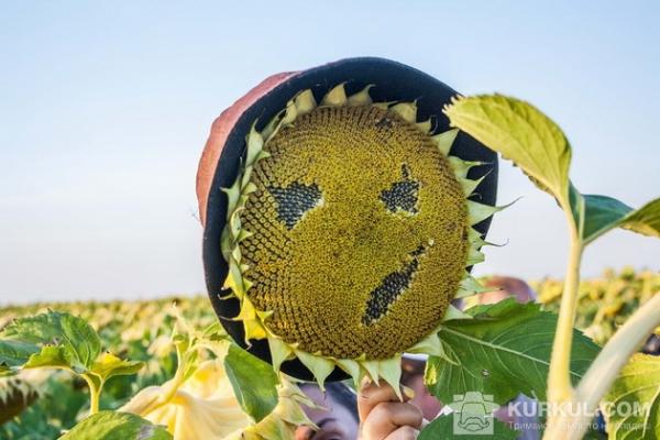 АгроЕкспедитори перевіряли поля Миколаївщини та Херсонщини