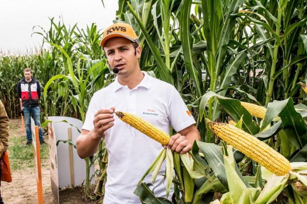 Презентація лінійки унікальних гібридів кукурудзи KWS у селі Роги, що на Черкащині