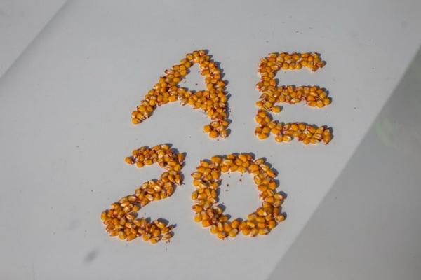 АгроЕкспедиція «Кукурудза 2016» перевірила кукурузні поля Черкащини
