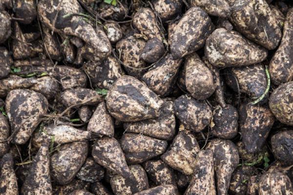 Команда АгроЕкспедиторів продовжує свою ревізію на Хмельниччині
