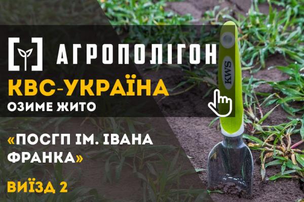 Озимина на Волинських полях 
