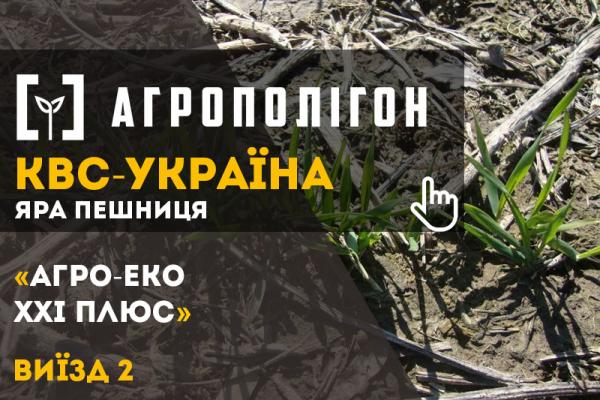 Команда проекту АгроПолігон проінспектувала посіви господарства «Агро-Еко ХХІ плюс»
