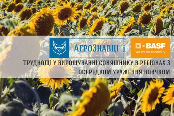 АгроЗнавці з компанії BASF відповідають на зпитання читачів про вирощування соняшнику