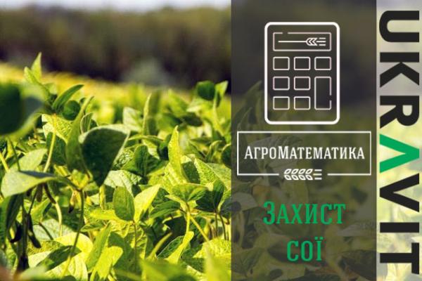 Дійзнайтеся, як заощаджувати на сої не втрачаючи продуктивності