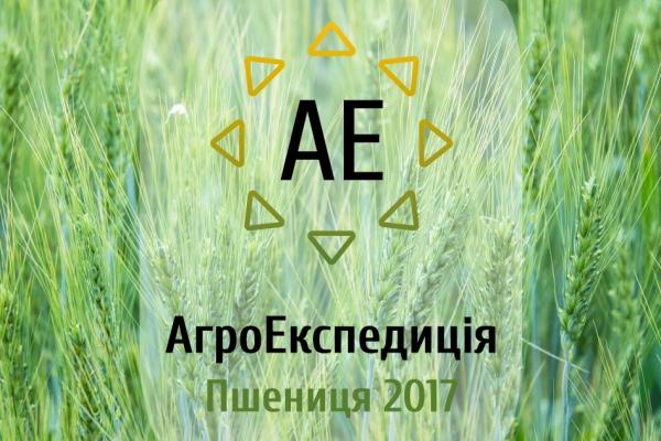 АгроЕкспедиція Пшениця