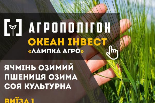 Зігмунд Лампка, голова «Лампка Агро»