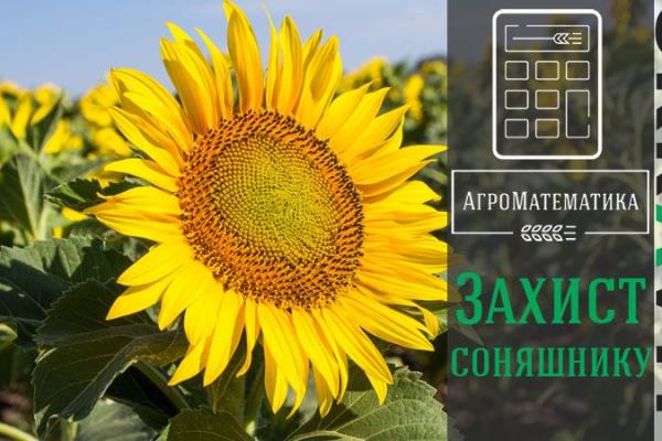 Фото: SuperAgronom.com