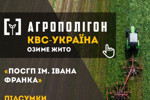 Жито на силос
