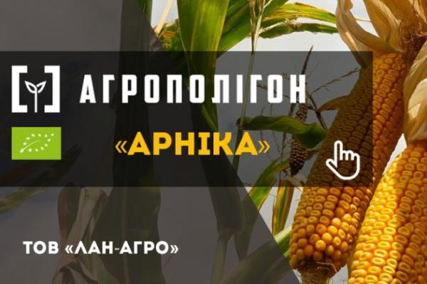 АгроПолігон Арніка. ТОВ «Лан-Агро»