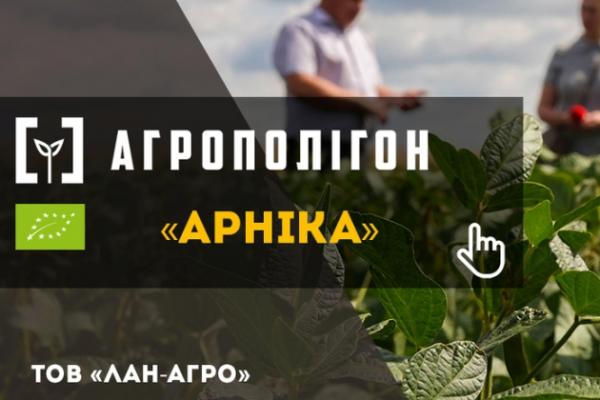 АгроПолігон «Арніка». Соя