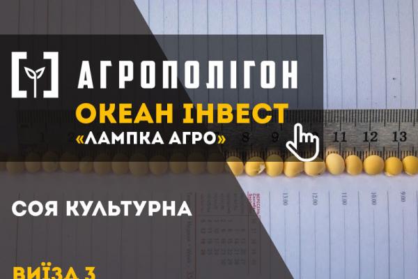 Соя в господарстві «Лампка Агро»