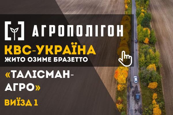 Озиме жито