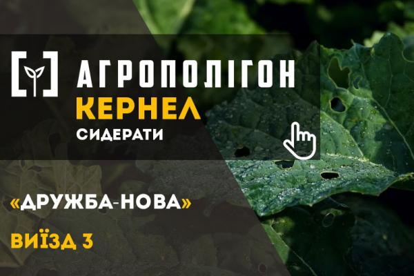 Заробка сидератів у ґрунт