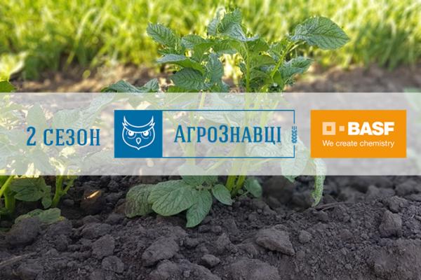Картопля. Ризоктоніоз і як із ним боротися?