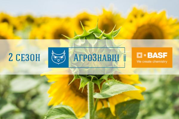 Що потрібно знати про морфорегуляцію на соняшнику?
