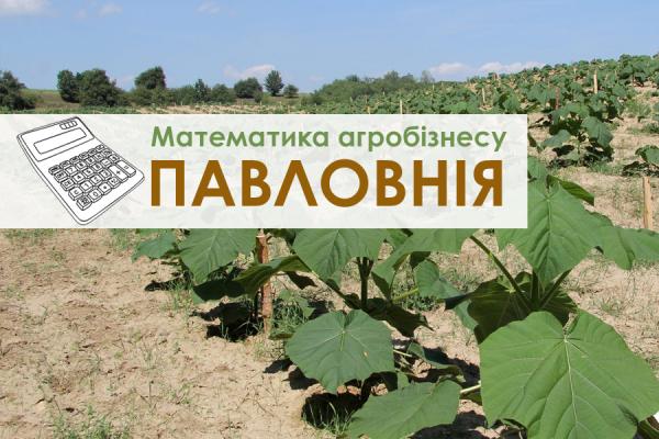 Математика агробізнесу: вирощування павловнії