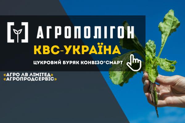 Цукровий буряк за системою Конвізо Смарт у Львівській та Тернопільській областях