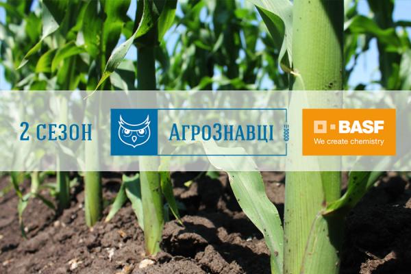 Контроль бур’янів у посівах кукурудзи