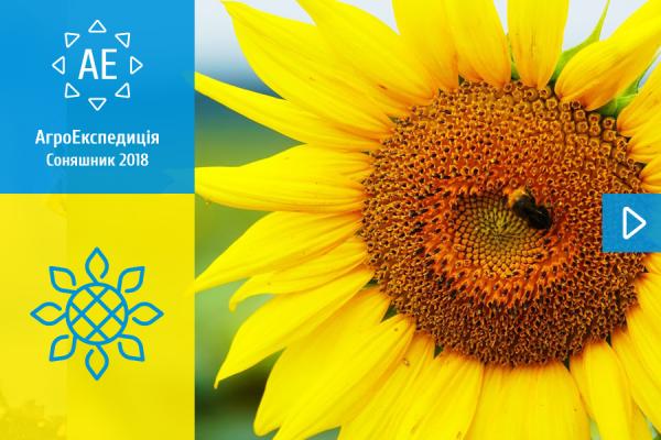 АгроЕкспедиція Соняшник 2018. День 1. Вінницька область: Дашківці та Врожайне