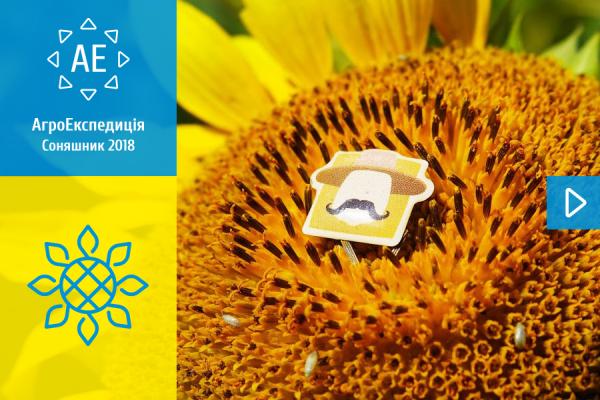 АгроЕкспедиція Соняшник 2018. День 3. Одеська область