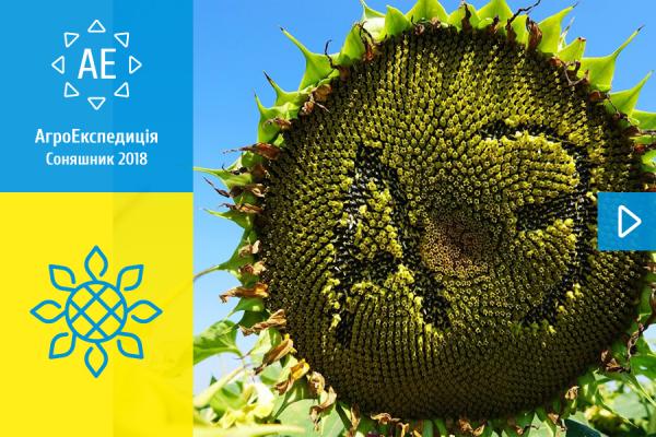 АгроЕкспедиція Соняшник 2018: «Жирні» підсумки прямо з поля