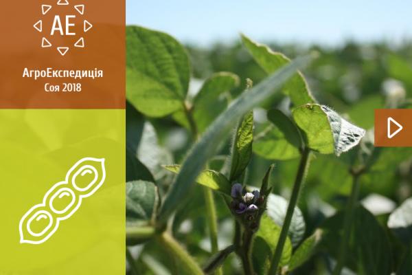 АгроЕкспедиція Соя 2018: розкриємо нові соєві секрети
