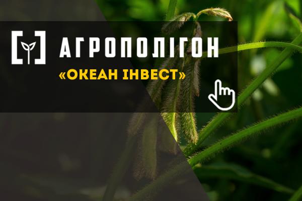 АгроПолігон Океан Інвест: Красуня-соя в господарстві «Лампка Агро»