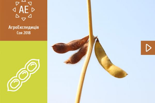 АгроЕкспедиція Соя 2018: Хмельницька область: Агро-Форте, Вінницька область: Лайф Інвест
