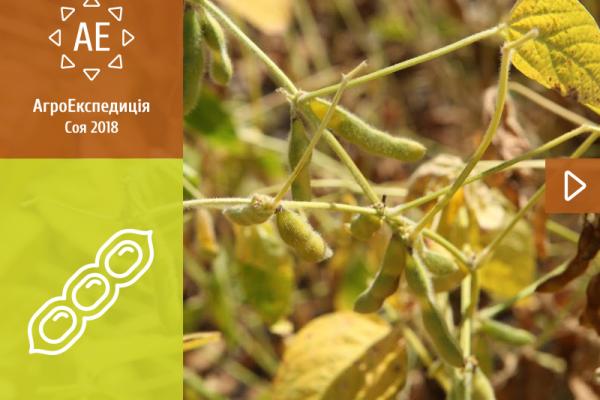 АгроЕкспедиція Соя 2018. Житомирська область: Верлоцьке і Тірас 2007