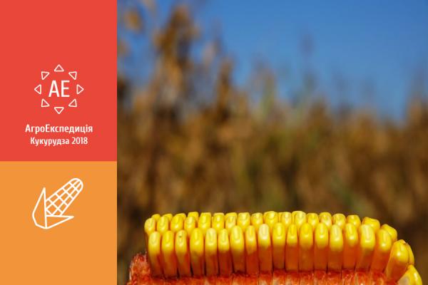 АгроЕкспедиція Кукурудза 2018. Черкаська область: Агрофірма Маяк і Черкаси-Дніпро Агро