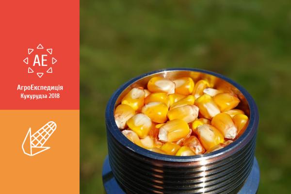 АгроЕкспедиція Кукурудза 2018. Вінницька та Київська області: Cygnet Agrocompany (Козятинське відділення) і Агро-Регіон Бориспіль