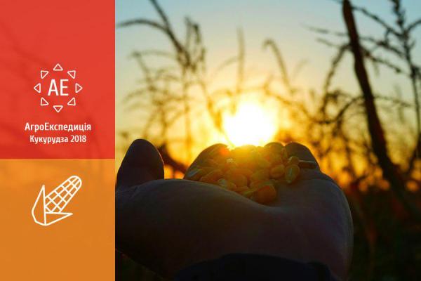 АгроЕкспедиція Кукурудза 2018. Вінницька область: Ольга, Вівсяницький, Олександрівське