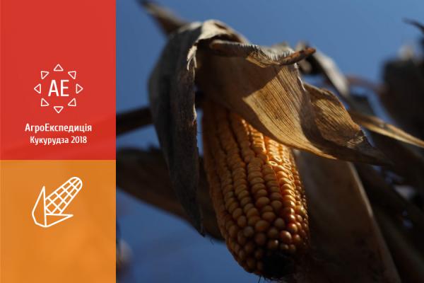 АгроЕкспедиція 2018 Кукурудза. Підсумки: запасайтеся попкорном!