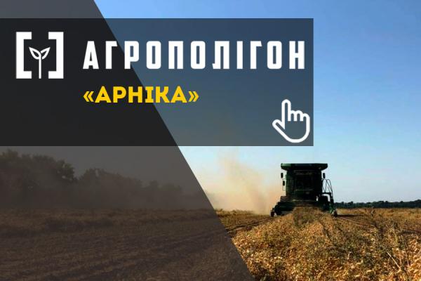 АгроПолігон Арніка: Жнива пізніх культур на фінішній прямій