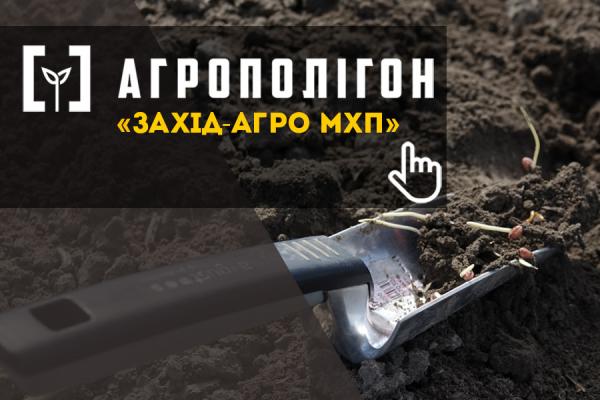 АгроПолігон МХП: Озима пшениця у «Захід-Агро МХП» 