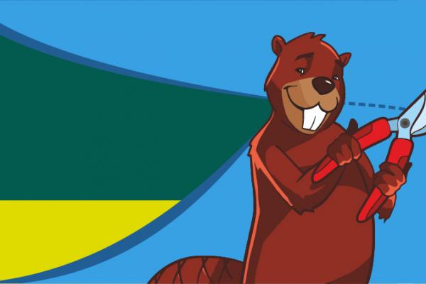 Кешбек на трактор: як отримати компенсацію вартості техніки?