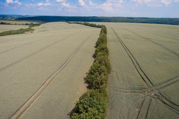 Агропогода: Як оцінити вологозабезпеченість та теплозабезпеченість поля