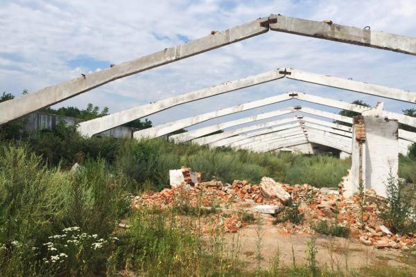 Як ми торгувались за два корівники