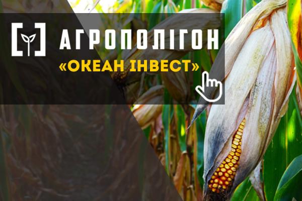 АгроПолігон Океан Інвест: Кукурудза в Лампка Агро — 4 гібриди, однаковий захист