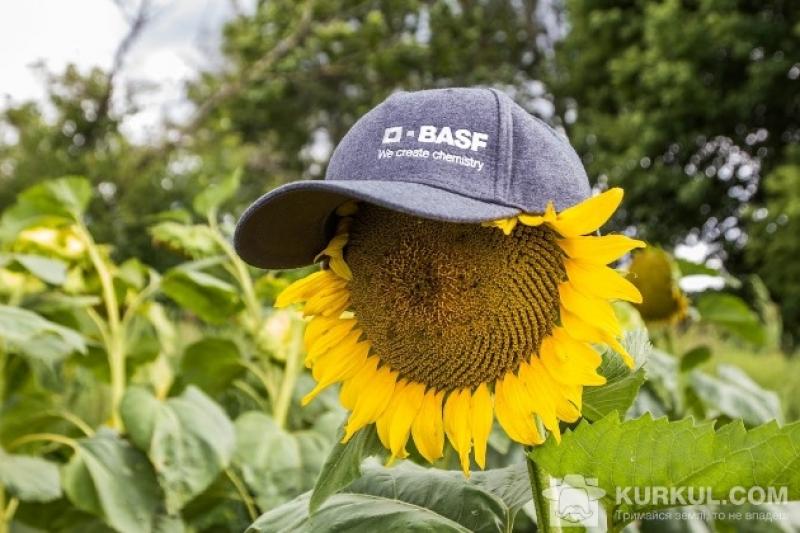 BASF розповів українським аграріям про систему Clearfield® Plus
