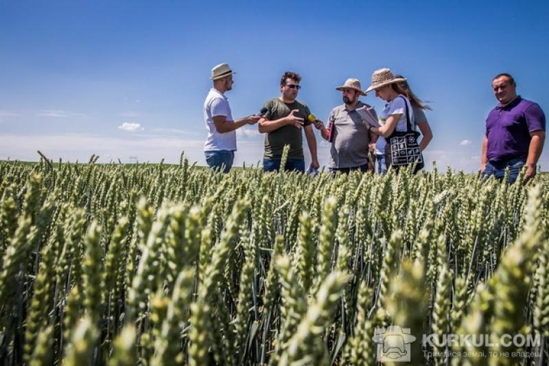 АгроЕкспедитори в полі пшениці 
