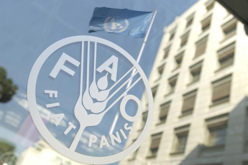 Логотип ФАО
