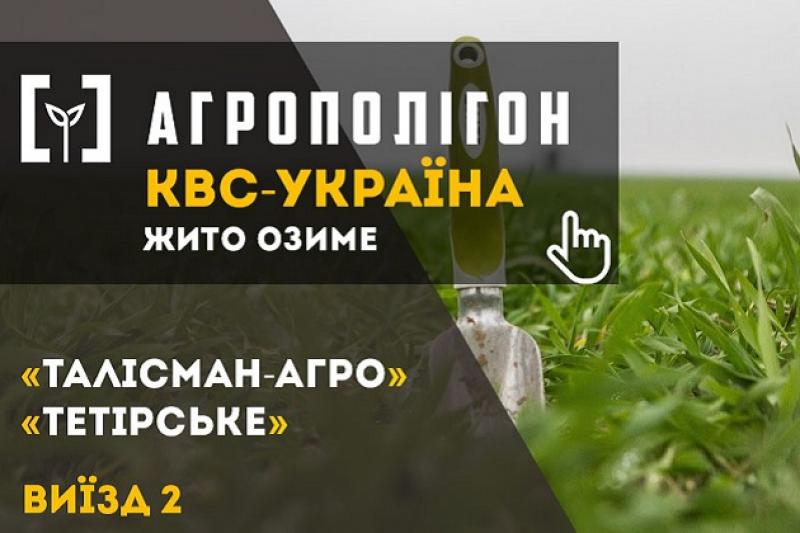 АгроПолігон КВС-УКРАЇНА: Озиме жито