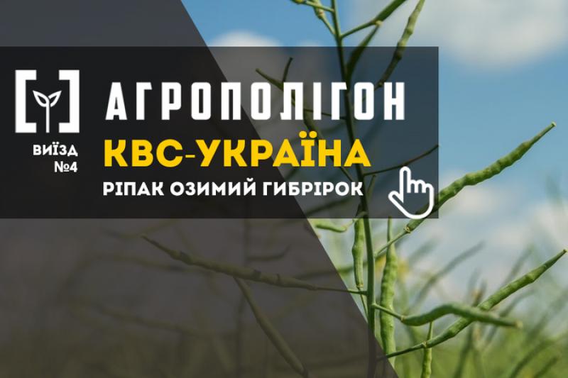 АгроПолігон КВС-УКРАЇНА: озимий ріпак на Волині й Хмельниччині