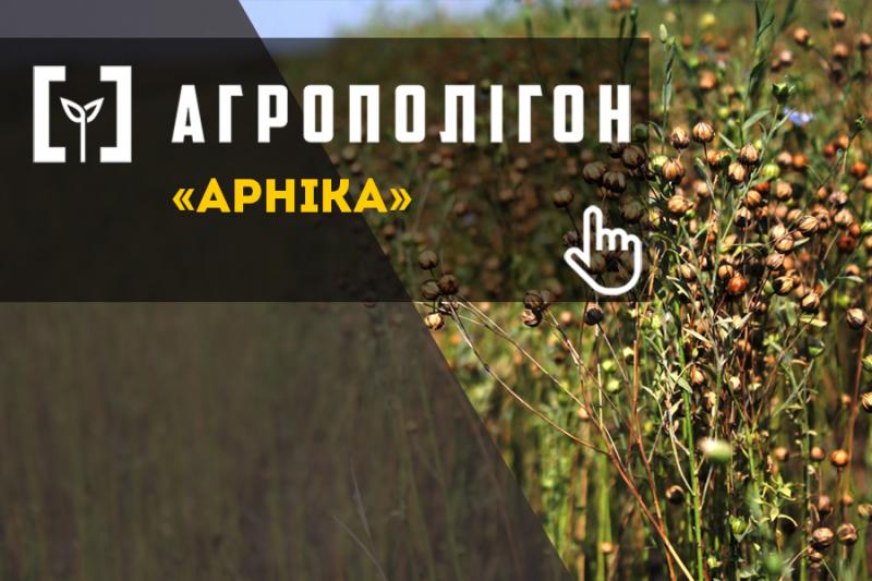 АгроПолігон Арніка: у коморі вже пшениця, навіть льон та сочевиця