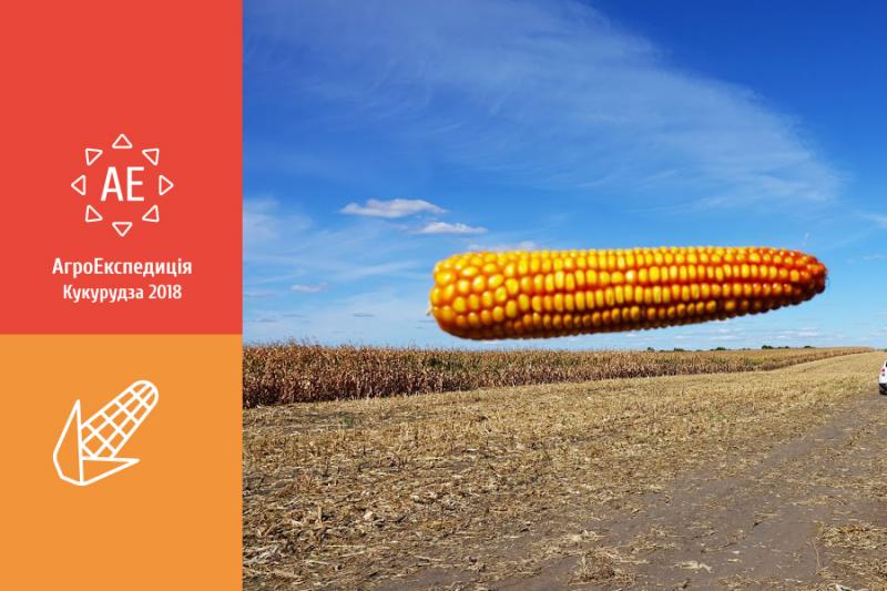 АгроЕкспедиція Кукурудза 2018. Сумська область: Беєве